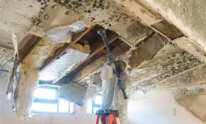 Best Asbestos and Lead Testing During Mold Inspection  in Baywood, NY